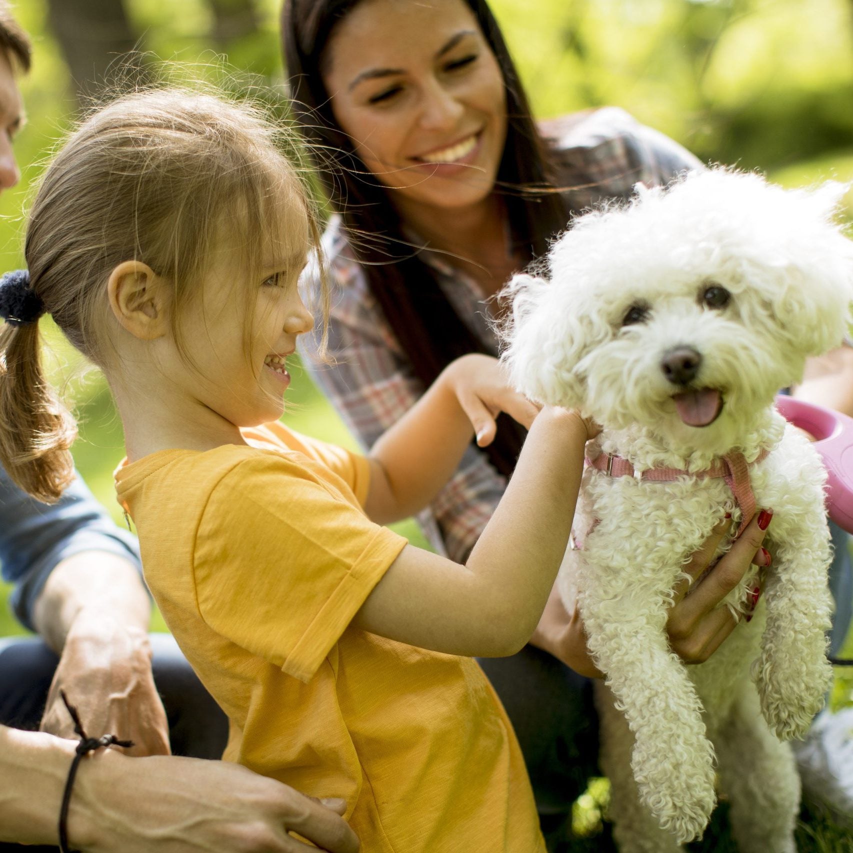 Beautiful happy family is having fun with bichon dog outdoors in the park